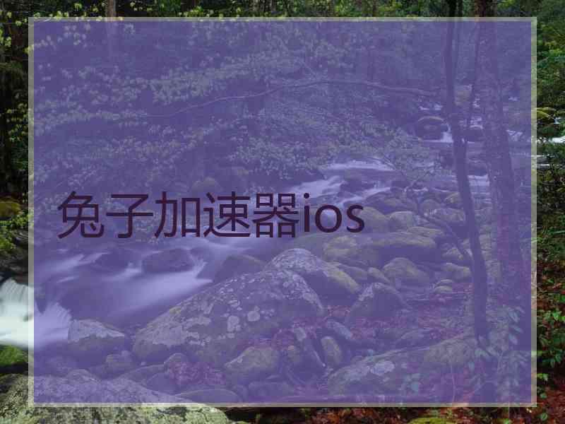 兔子加速器ios