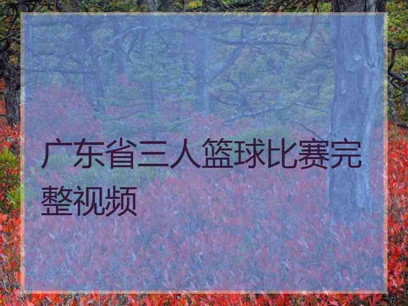 广东省三人篮球比赛完整视频