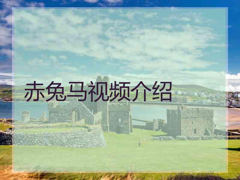 赤兔马视频介绍