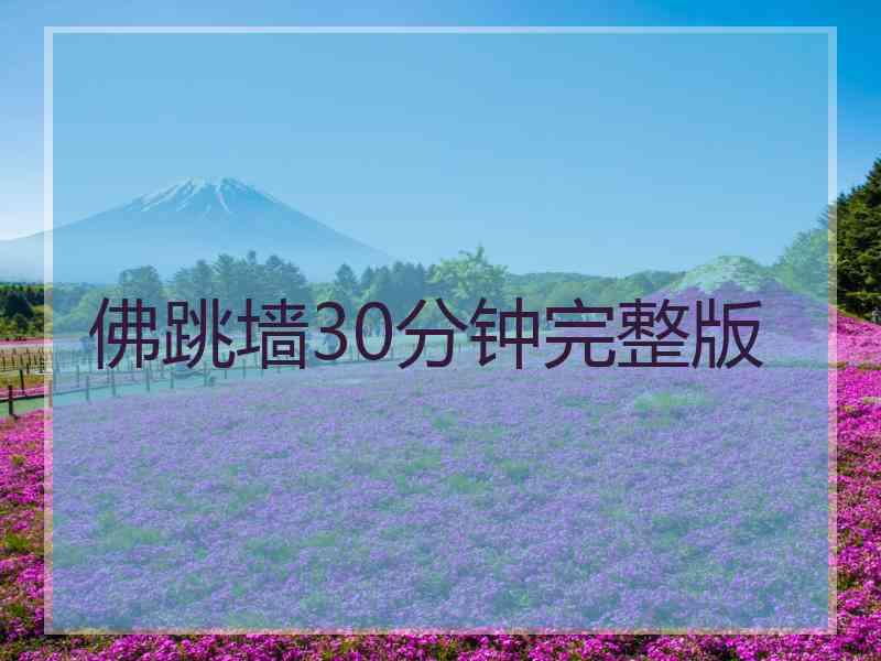 佛跳墙30分钟完整版