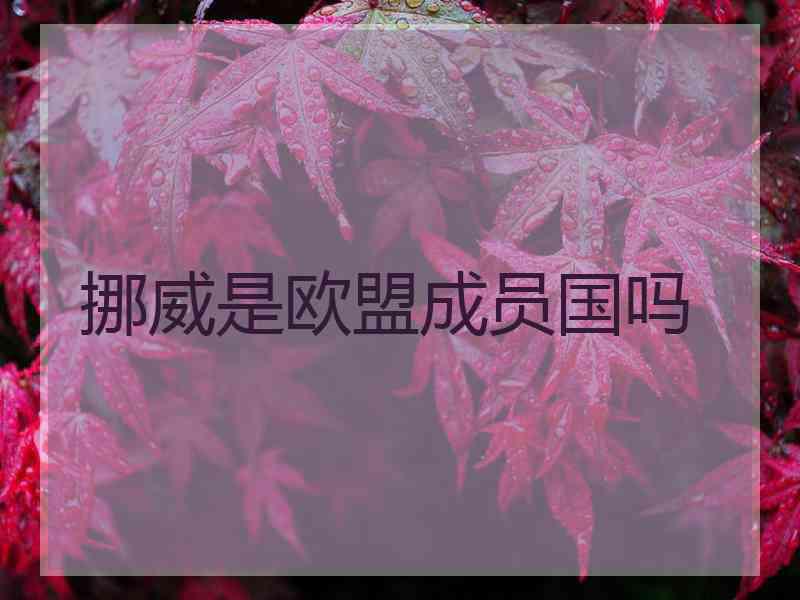 挪威是欧盟成员国吗