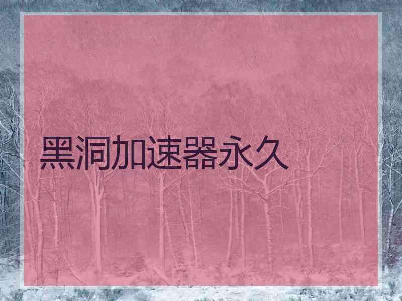 黑洞加速器永久
