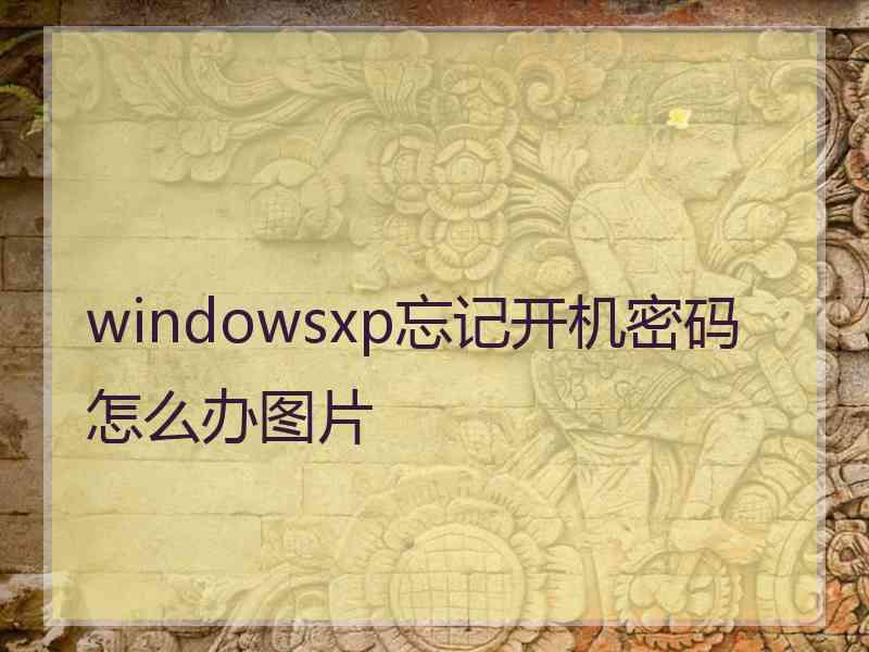 windowsxp忘记开机密码怎么办图片