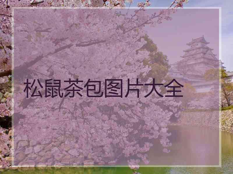 松鼠茶包图片大全