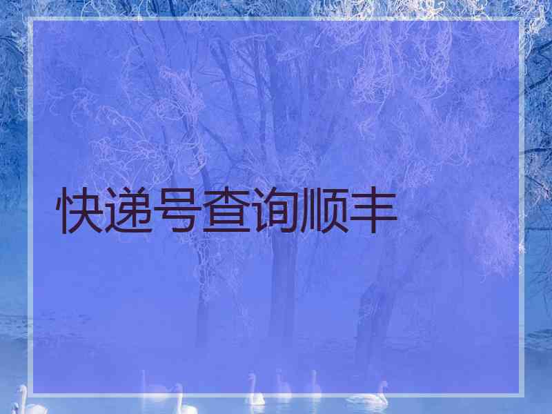 快递号查询顺丰