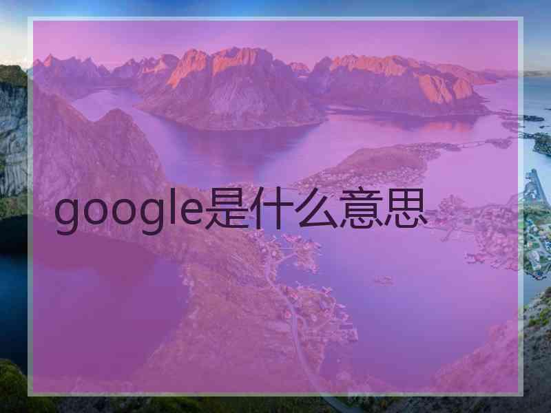 google是什么意思