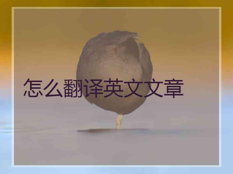 怎么翻译英文文章