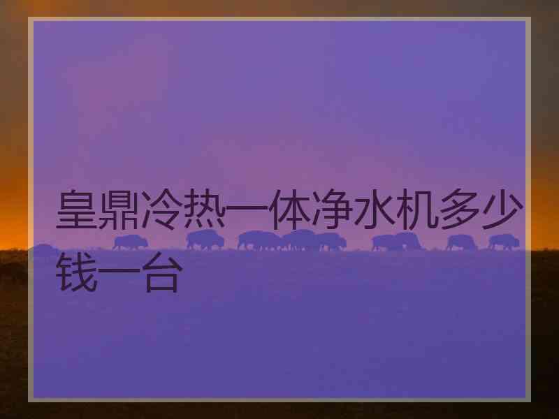 皇鼎冷热一体净水机多少钱一台