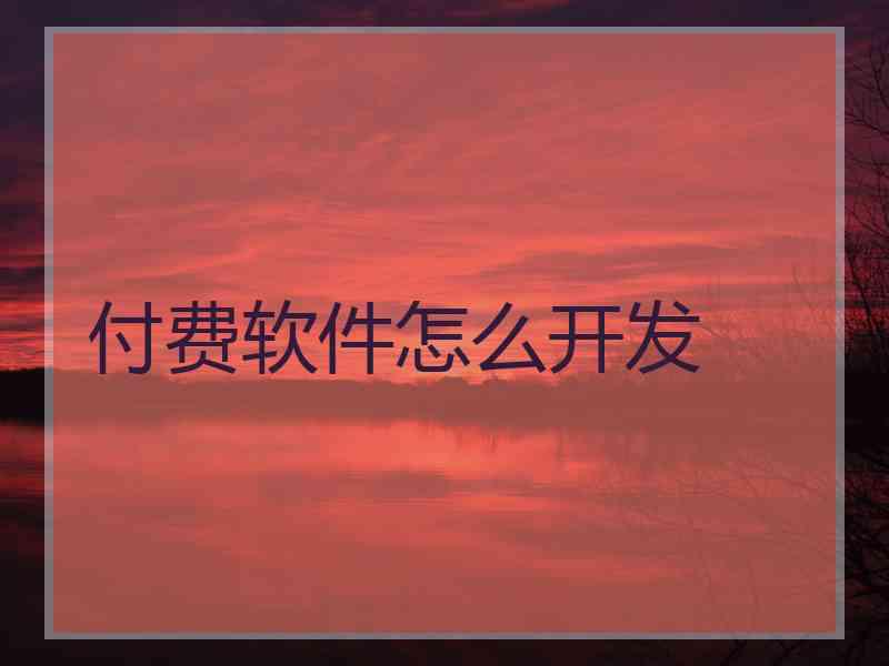 付费软件怎么开发