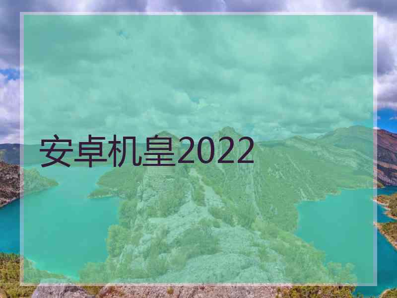 安卓机皇2022