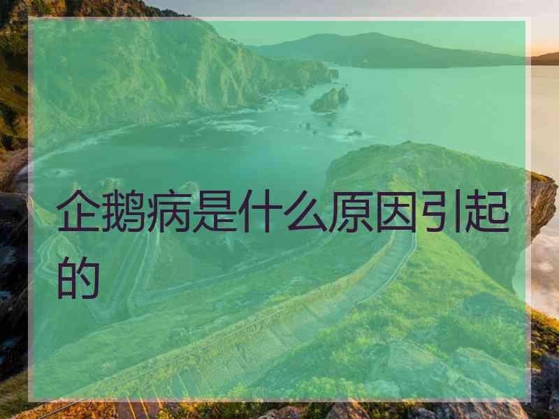企鹅病是什么原因引起的