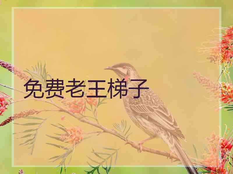 免费老王梯子