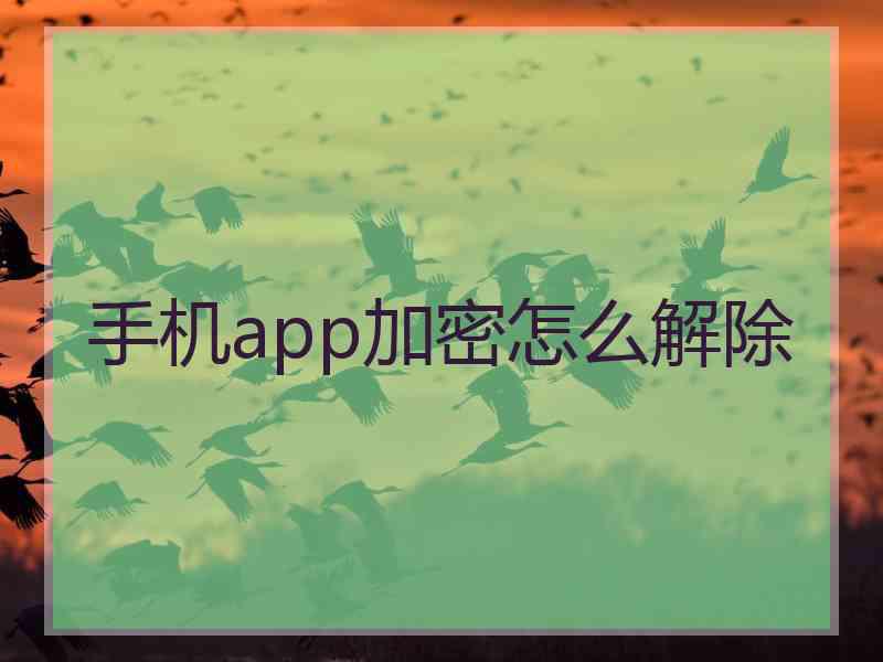 手机app加密怎么解除