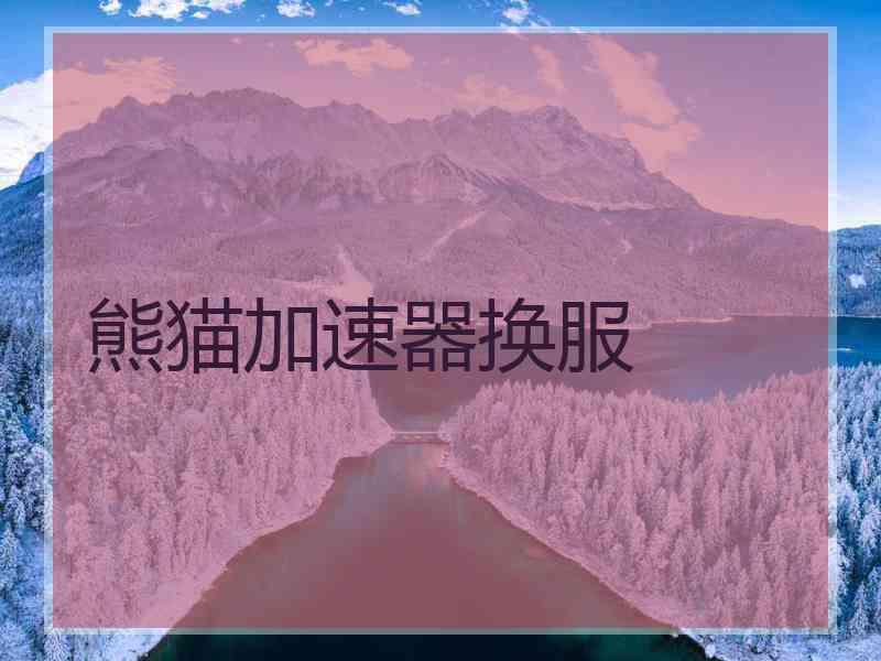 熊猫加速器换服