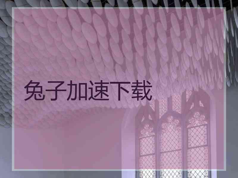 兔子加速下载