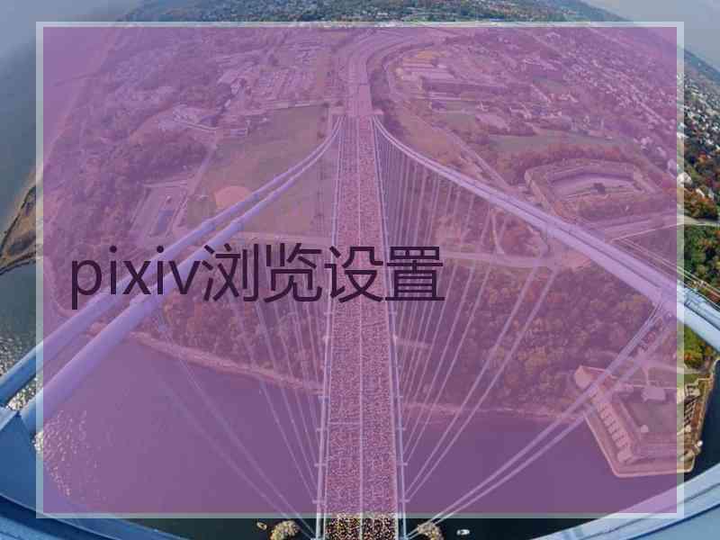 pixiv浏览设置