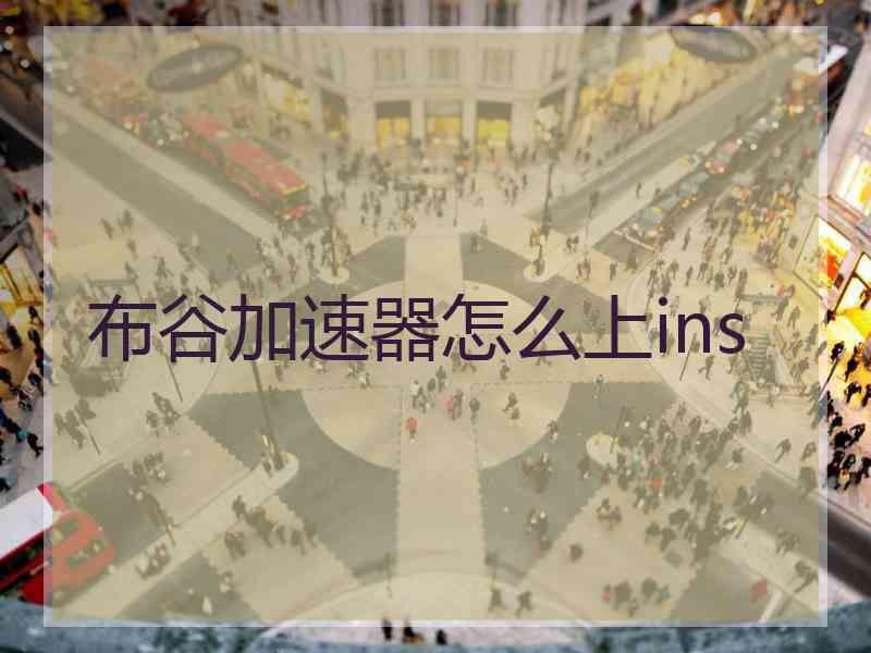 布谷加速器怎么上ins