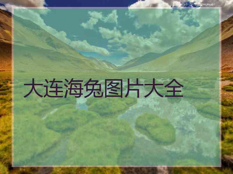 大连海兔图片大全