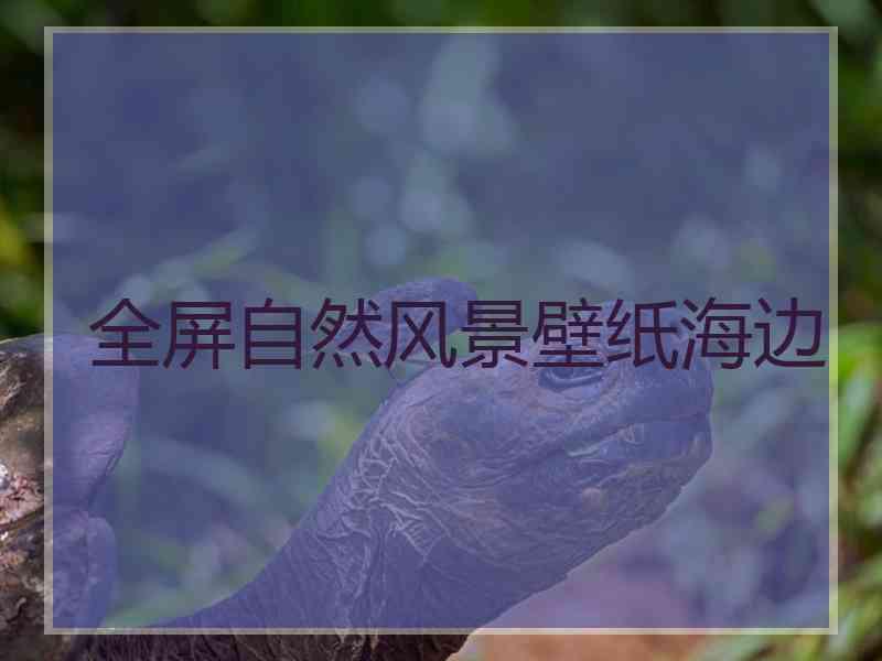全屏自然风景壁纸海边
