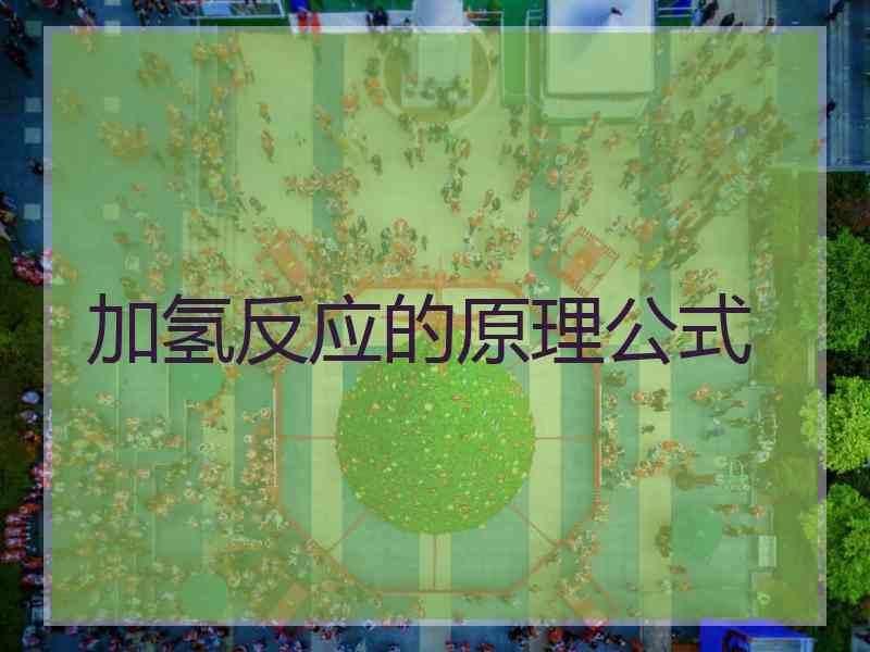 加氢反应的原理公式