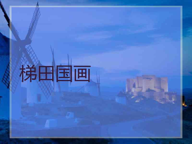 梯田国画