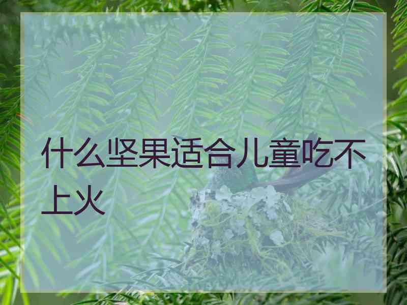 什么坚果适合儿童吃不上火