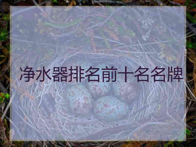 净水器排名前十名名牌