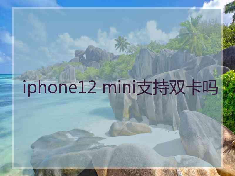 iphone12 mini支持双卡吗