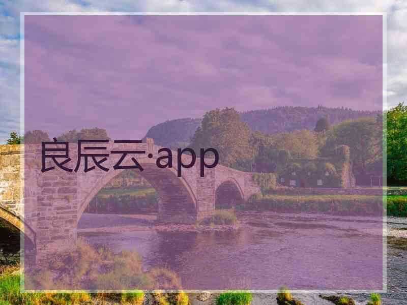 良辰云·app