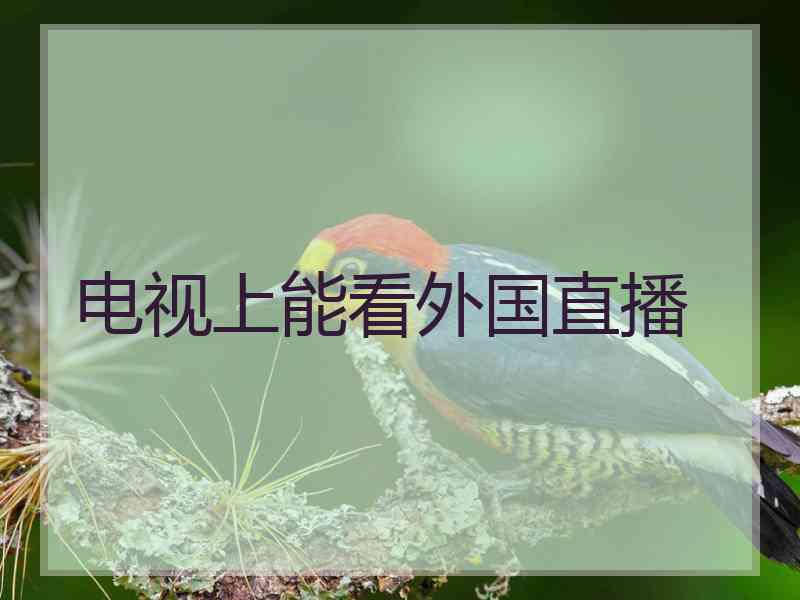 电视上能看外国直播