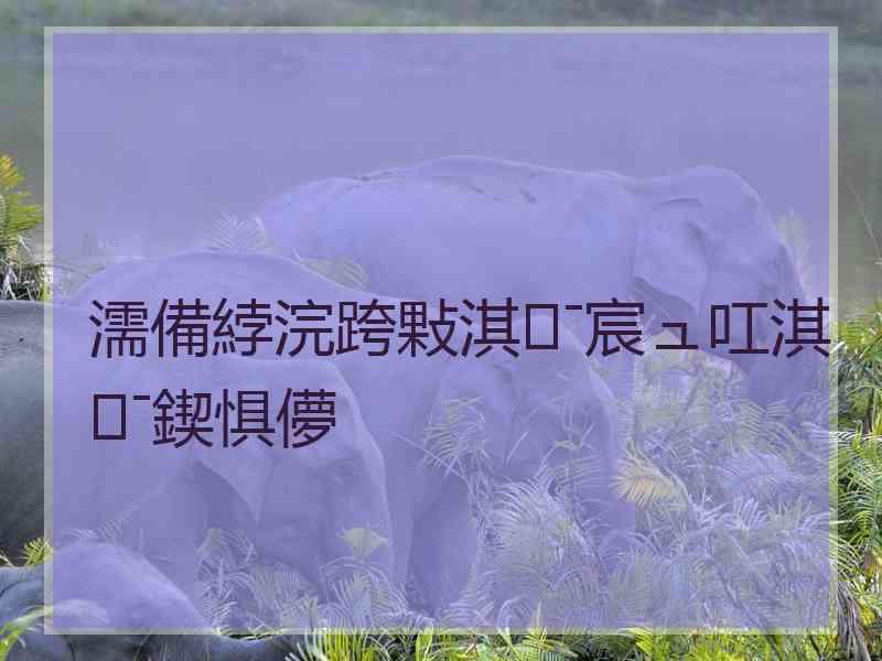 濡備綍浣跨敤淇ˉ宸ュ叿淇ˉ鍥惧儚
