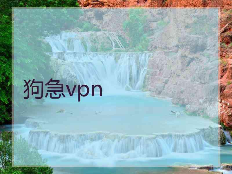 狗急vpn