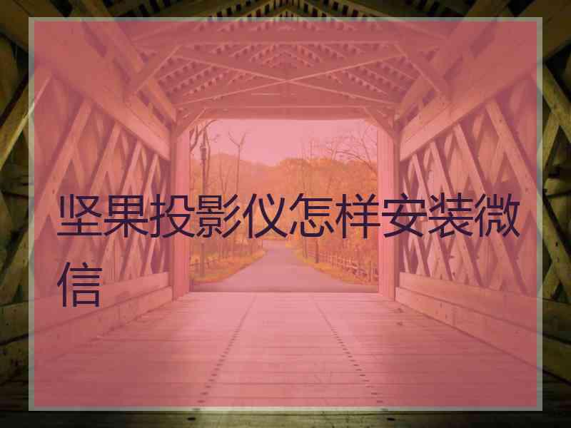 坚果投影仪怎样安装微信