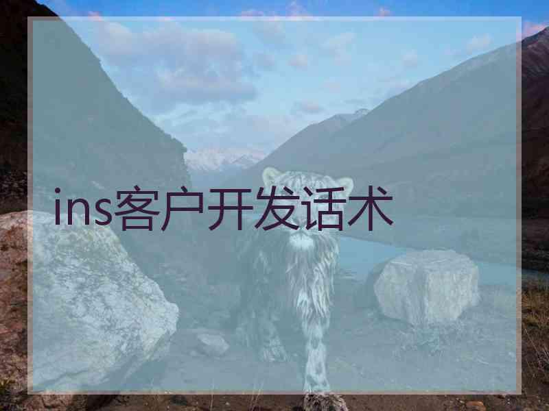 ins客户开发话术