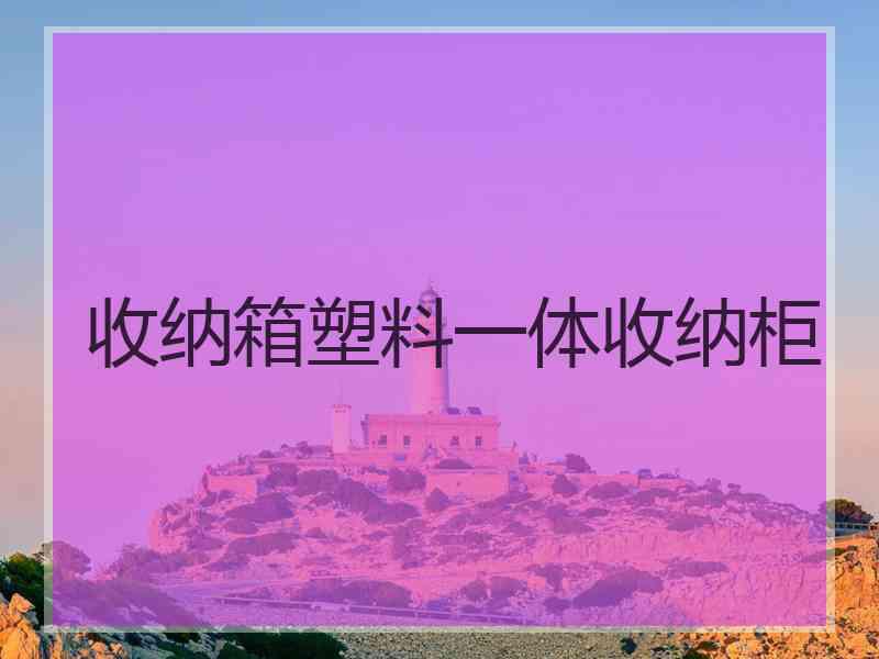 收纳箱塑料一体收纳柜