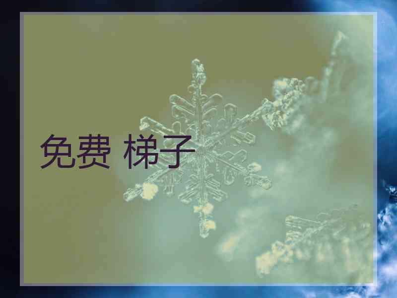 免费 梯子