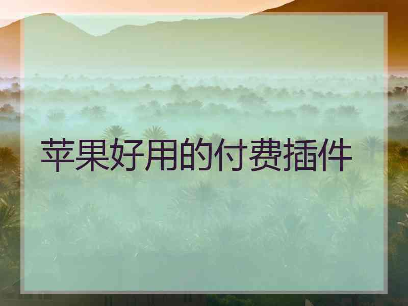 苹果好用的付费插件