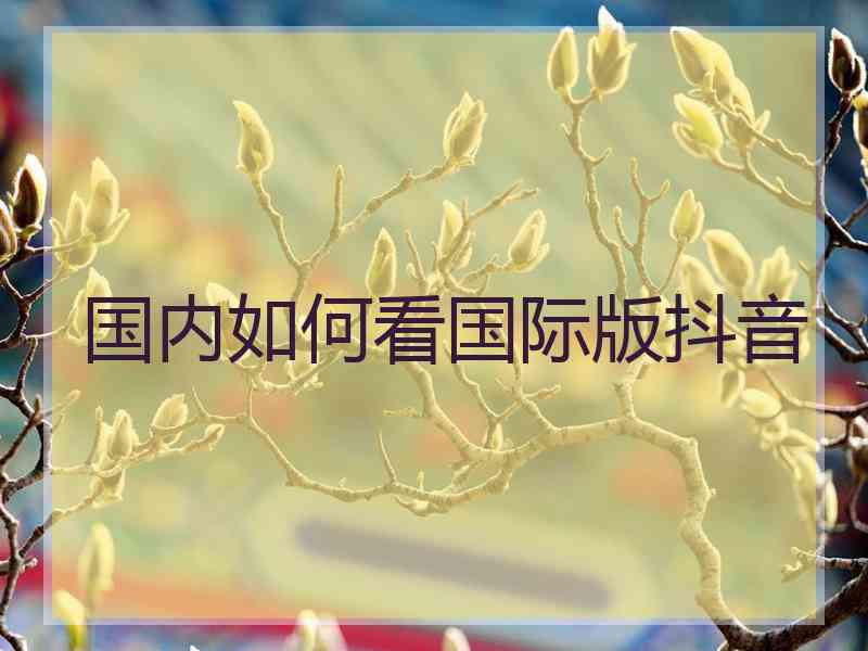 国内如何看国际版抖音