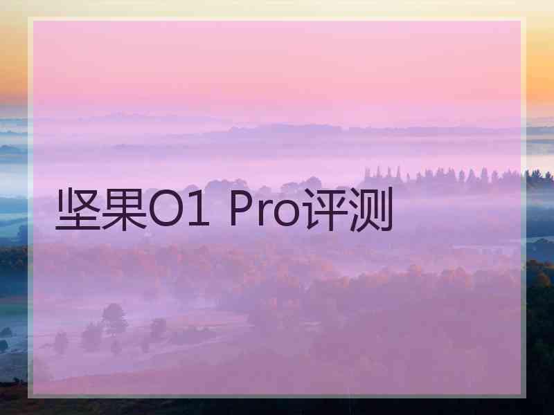 坚果O1 Pro评测