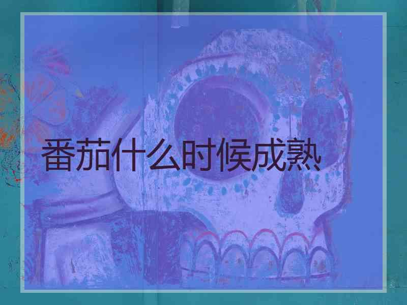 番茄什么时候成熟