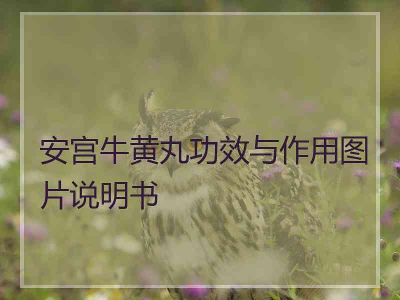 安宫牛黄丸功效与作用图片说明书