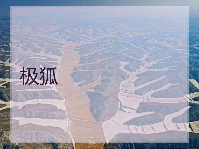 极狐