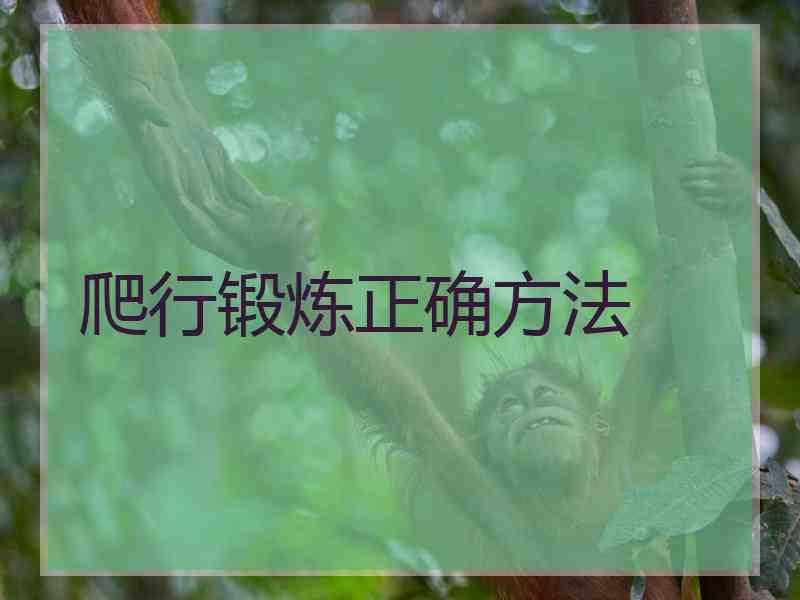 爬行锻炼正确方法