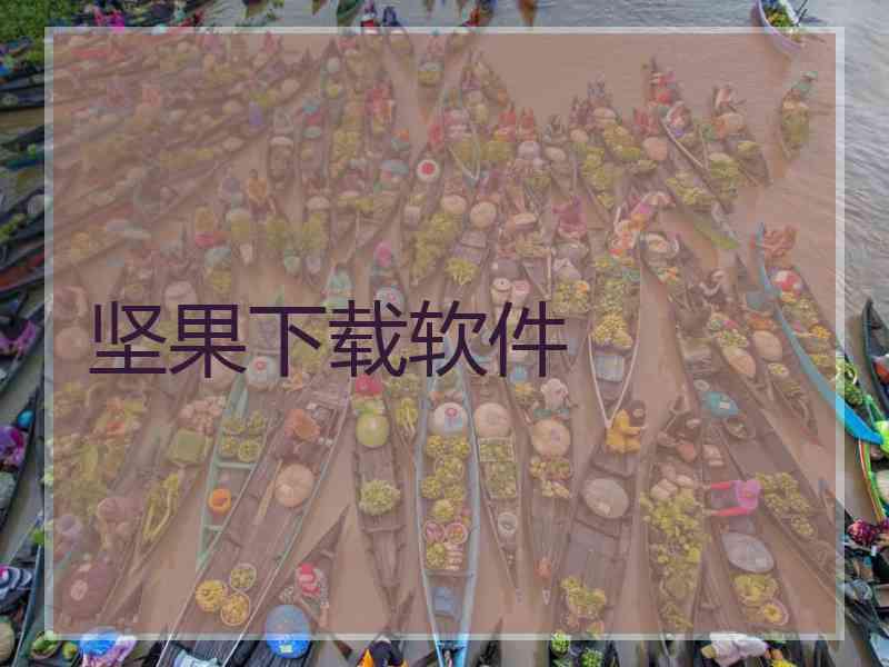 坚果下载软件