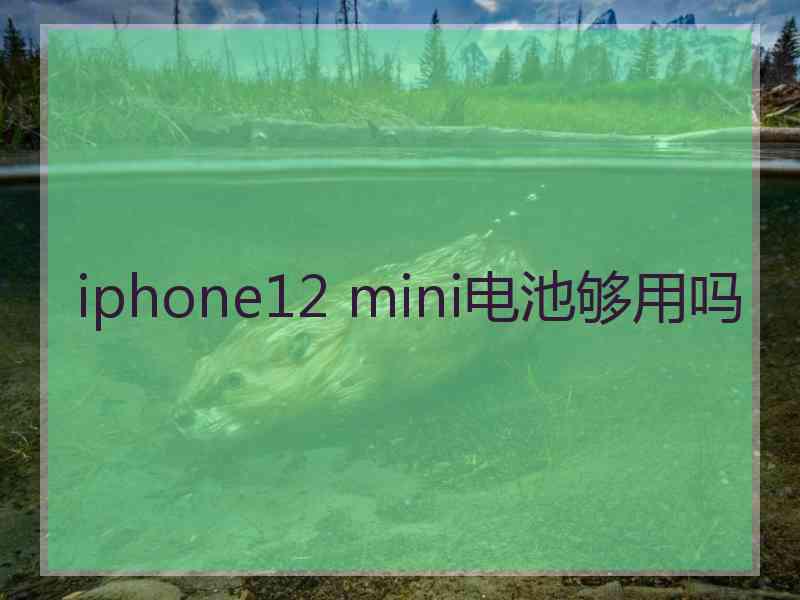 iphone12 mini电池够用吗