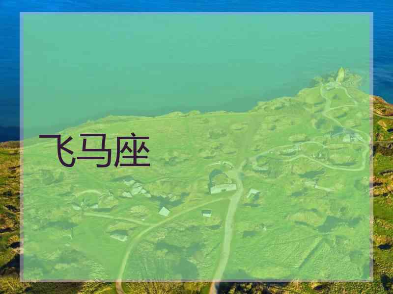 飞马座