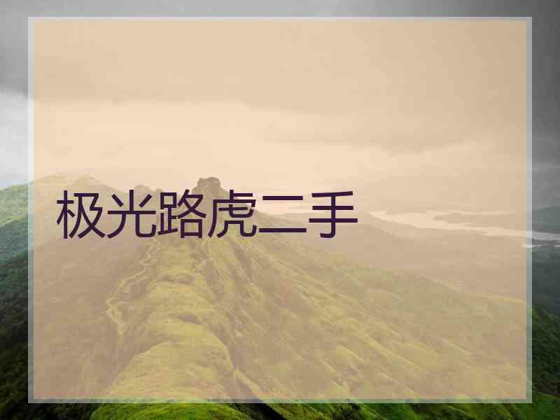 极光路虎二手