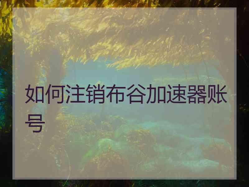 如何注销布谷加速器账号