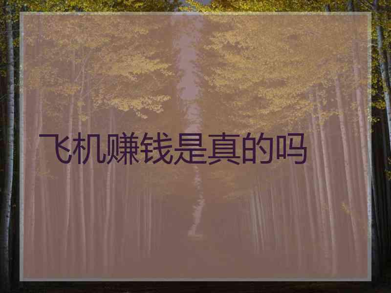 飞机赚钱是真的吗