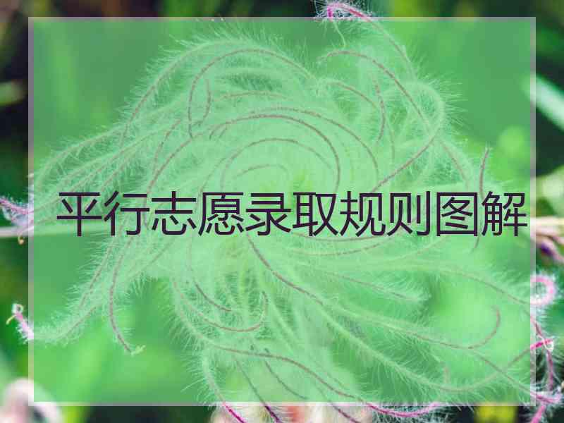 平行志愿录取规则图解